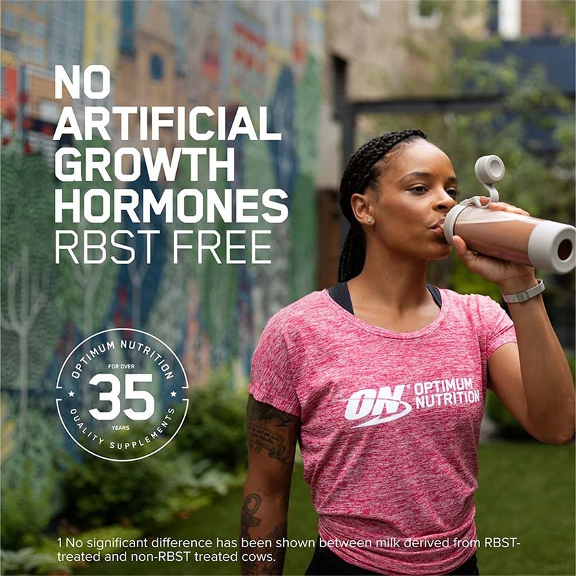 1 Whey Protein Powder Double Rich Chocolate