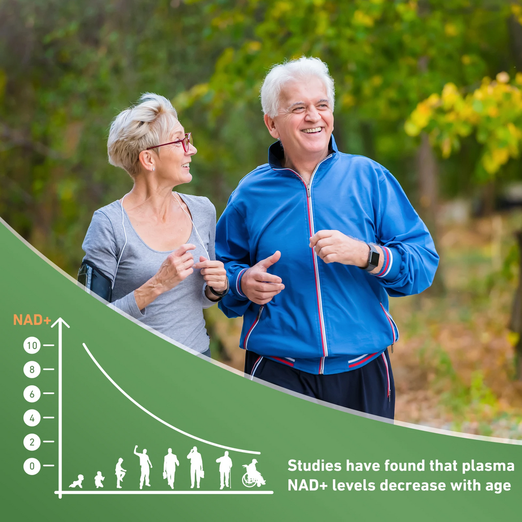 4-in-1 NAD+ Booster Supplement with Nicotinamide Riboside, Resveratrol, Quercetin & NMN – Cellular Energy & Anti-Aging Support – 80 High-Purity Capsules